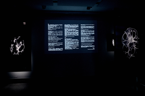 The World Premiere of Spectrograms